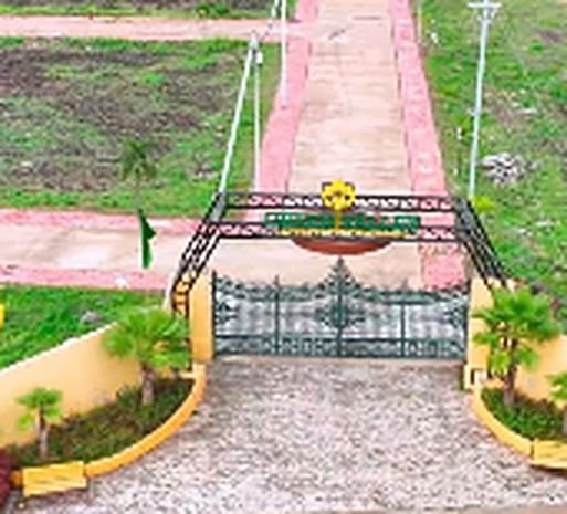Landscape Gardens